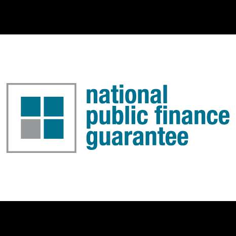 Jobs in National Public Finance Guarantee - reviews